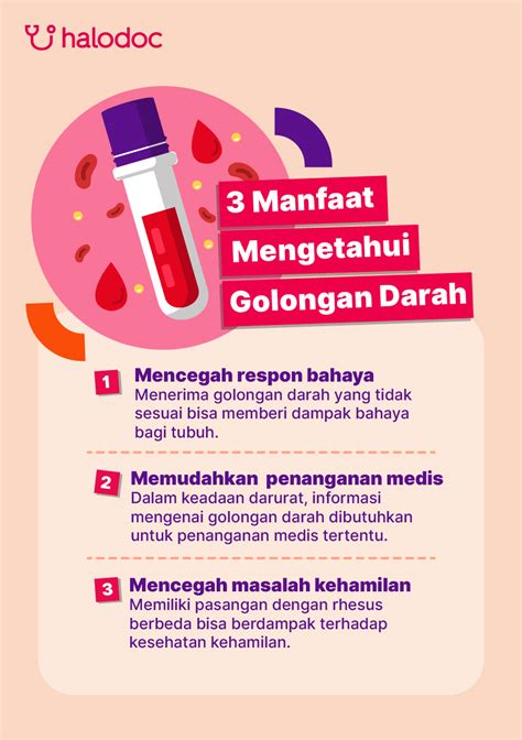 test kit jenis darah|cek golongan darah gratis.